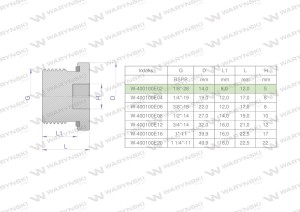 Korek hydrauliczny calowy (na imbus) 1/8" BSP ED Waryński 