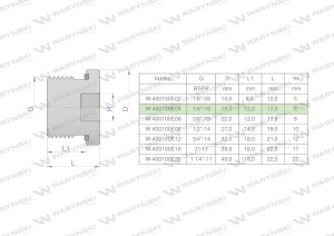 Korek hydrauliczny calowy (na imbus) 1/4" BSP ED Waryński 