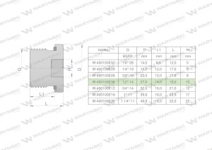 Korek hydrauliczny calowy (na imbus) 1/2" BSP ED Waryński 