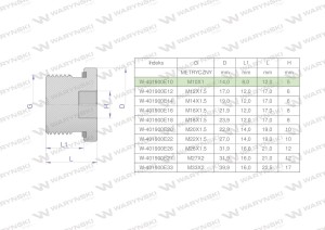 Korek hydrauliczny metryczny (na imbus) M10x1 ED Waryński 