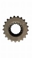 PhotoRoom-011-20230726-140433.JPG