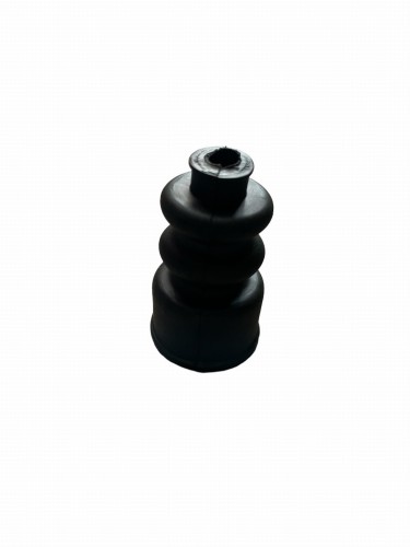PhotoRoom-20230624-111242.JPG
