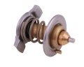 Termostat wkład 504221036 NEW HOLLAND POLMO-16306