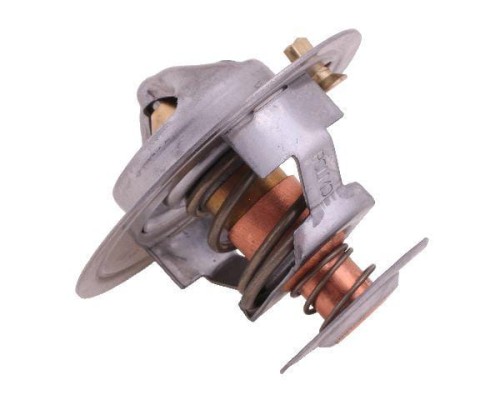 Termostat 6005012123 RENAULT POLMO-16308
