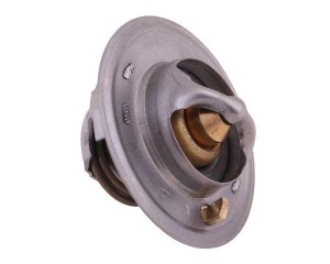 Termostat 6005012123 RENAULT POLMO