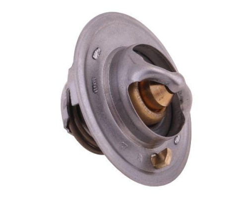 Termostat 6005012123 RENAULT POLMO-16309