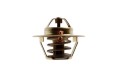 Termostat 70011316 C-385/Zetor-2509