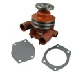 Pompa wody II paski MF3 ORYGINAŁ URSUS-8105