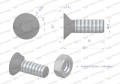Śruba kpl. płużna dwunoskowa większy łeb M10x30 mm kl.10.9 Waryński ( sprzedawane po 25 )-35228