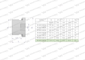 Korek hydrauliczny calowy (na imbus) 1 1/4" BSP ED Waryński