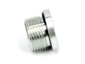 Korek hydrauliczny calowy (na imbus) 1 1/4" BSP ED Waryński-25216