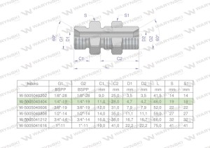 Złączka hydrauliczna calowa grodziowa BB 1/4" BSP z przeciwnakrętką (XSV) Waryński ( sprzedawane po 2 )