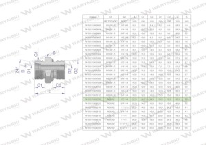 Przyłączka hydrauliczna BB (XGE) M30x2 22L x 1/2" BSP ED Waryński ( sprzedawane po 2 )