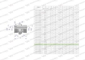 Przyłączka hydrauliczna BB (XGE) M30x2 22L x 1" BSP ED Waryński ( sprzedawane po 2 )