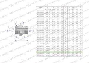 Przyłączka hydrauliczna BB (XGE) M45x2 35L3 35L x 1" BSP ED Waryński