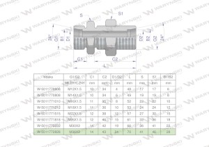 Złączka hydrauliczna metryczna grodziowa BB M36x2 28L z przeciwnakrętką (XSV) Waryński