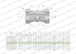 Złączka hydrauliczna calowa AA 1/2" BSP Waryński ( sprzedawane po 2 )