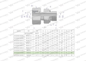 Przyłączka hydrauliczna AB (EVGE) M36x2 28L x 1" BSP ED Waryński