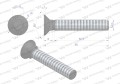 Śruba kpl. płużna podsadzana D 608 M10x60 mm kl.10.9 Waryński ( sprzedawane po 25 )-17608