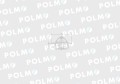 Termostat SW400 Bizon POLMO-16315