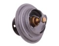 Termostat 4224639M1 LANDINI POLMO-16312