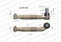 AL39318Wewf.jpg