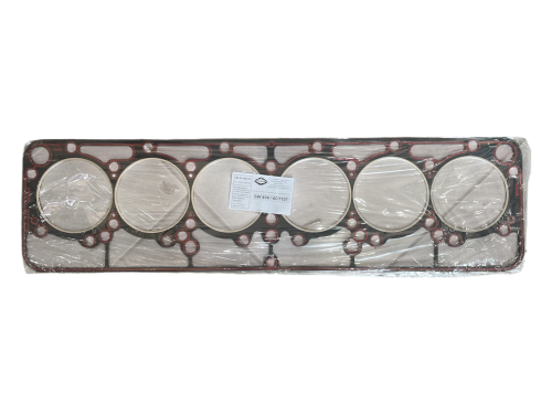 Photoroom_20260801_114517 (1).PNG