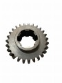 PhotoRoom-007-20230705-000552.JPG