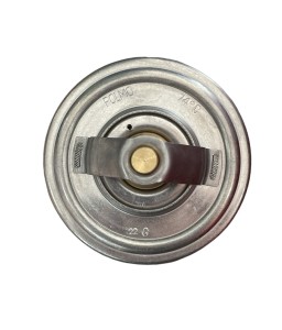 TERMOSTAT BIZON