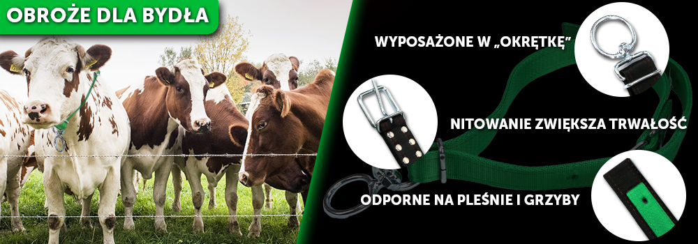 Slide obrożę
